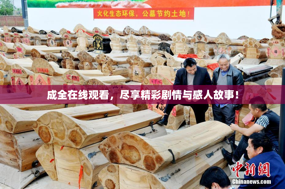 成全在线观看，尽享精彩剧情与感人故事！