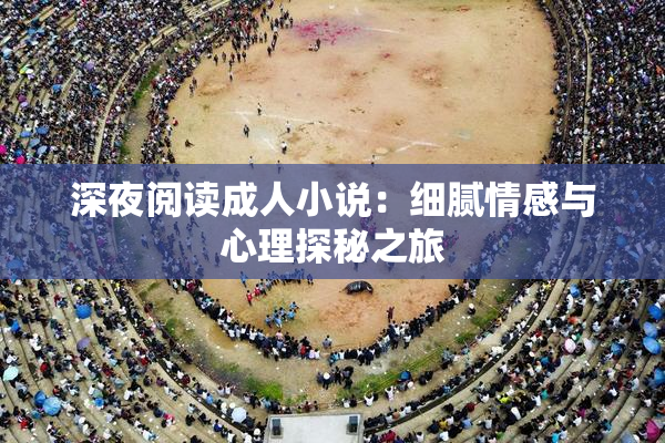 深夜阅读成人小说：细腻情感与心理探秘之旅
