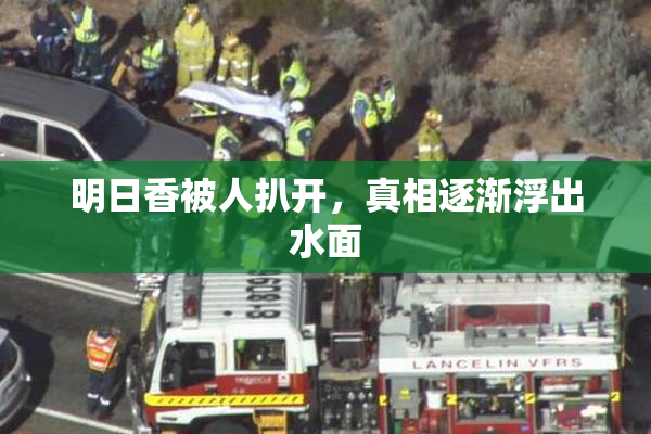 明日香被人扒开，真相逐渐浮出水面