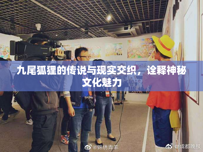 九尾狐狸的传说与现实交织，诠释神秘文化魅力