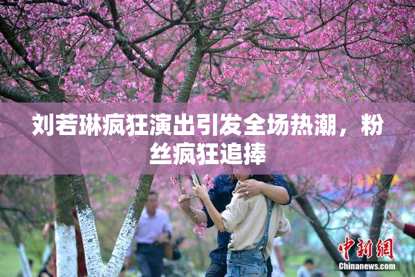刘若琳疯狂演出引发全场热潮，粉丝疯狂追捧
