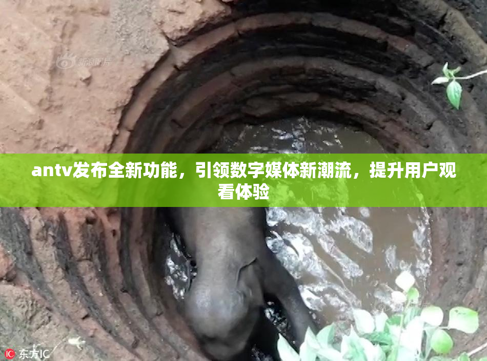 antv发布全新功能，引领数字媒体新潮流，提升用户观看体验