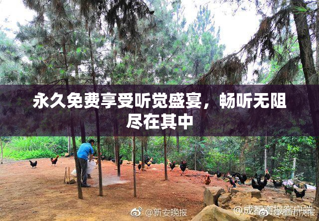 永久免费享受听觉盛宴，畅听无阻尽在其中