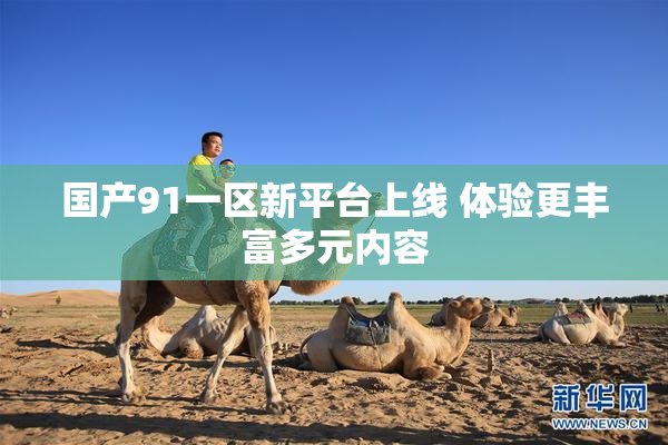 国产91一区新平台上线 体验更丰富多元内容