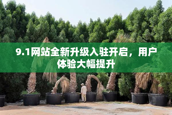 9.1网站全新升级入驻开启，用户体验大幅提升