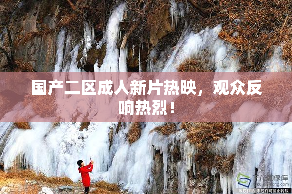 国产二区成人新片热映，观众反响热烈！