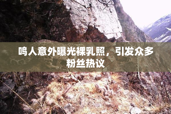 鸣人意外曝光裸乳照，引发众多粉丝热议