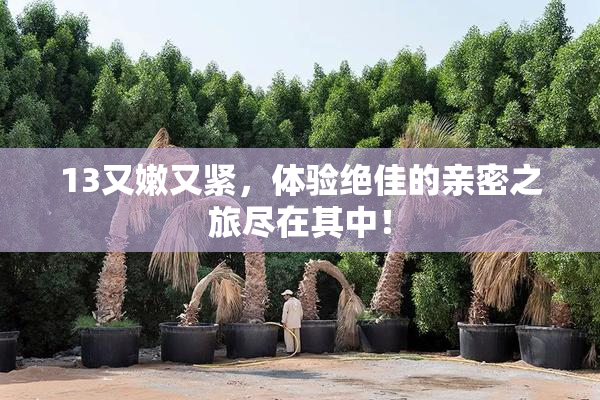 13又嫩又紧，体验绝佳的亲密之旅尽在其中！