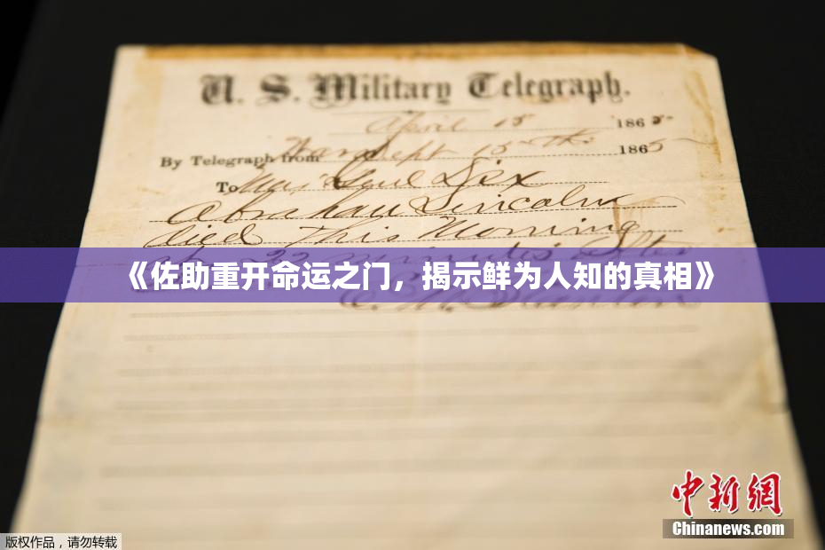 《佐助重开命运之门，揭示鲜为人知的真相》