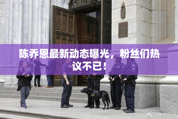 陈乔恩最新动态曝光，粉丝们热议不已！