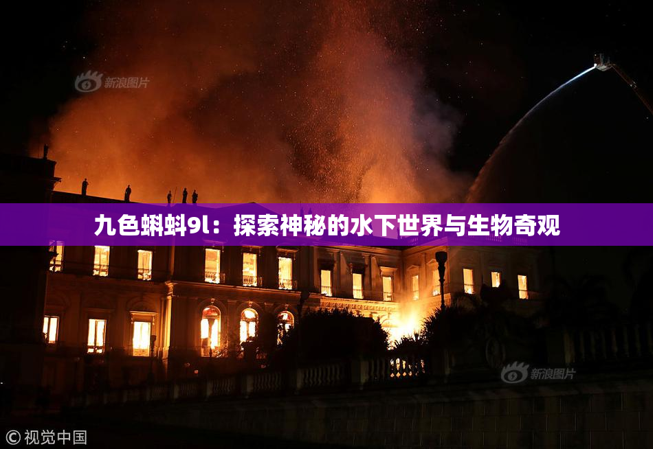 九色蝌蚪9l：探索神秘的水下世界与生物奇观