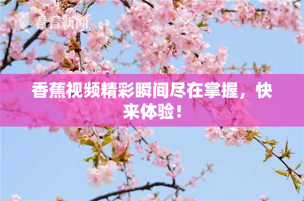 香蕉视频精彩瞬间尽在掌握，快来体验！
