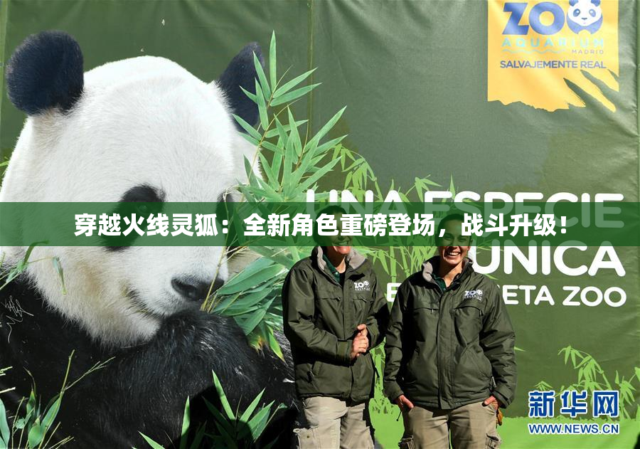 穿越火线灵狐：全新角色重磅登场，战斗升级！
