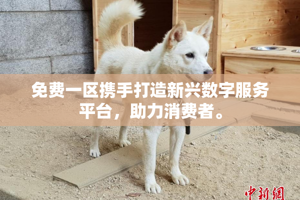 免费一区携手打造新兴数字服务平台，助力消费者。