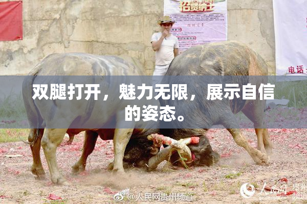 双腿打开，魅力无限，展示自信的姿态。