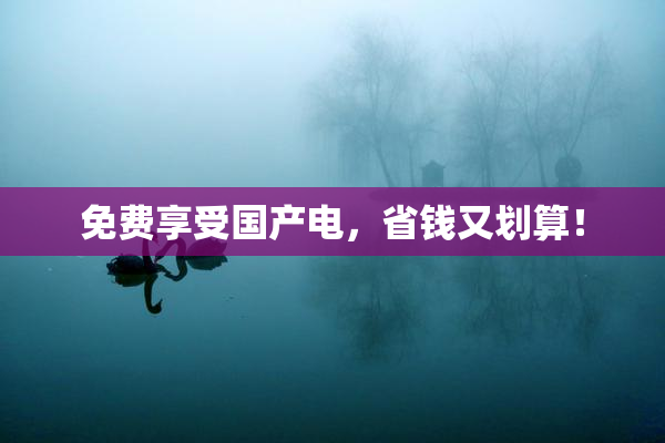 免费享受国产电，省钱又划算！