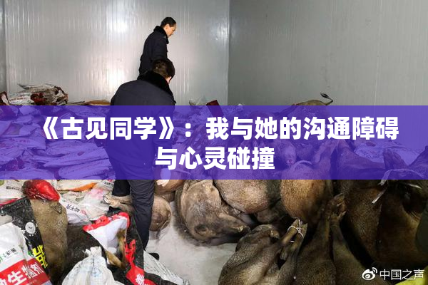 《古见同学》：我与她的沟通障碍与心灵碰撞