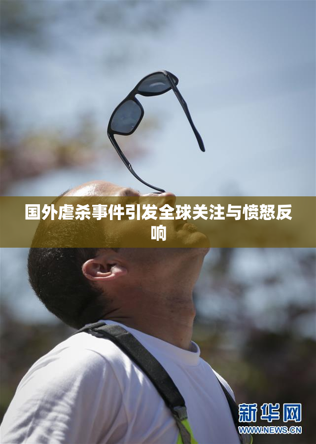国外虐杀事件引发全球关注与愤怒反响