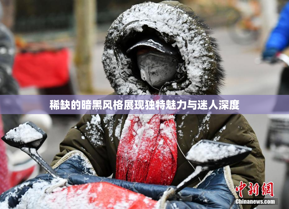 稀缺的暗黑风格展现独特魅力与迷人深度