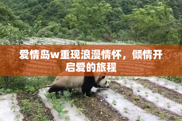 爱情岛w重现浪漫情怀，倾情开启爱的旅程