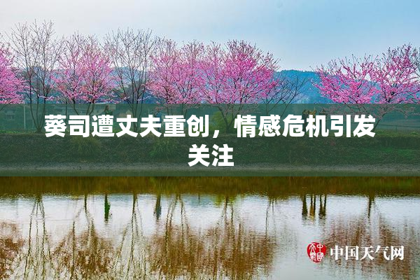 葵司遭丈夫重创，情感危机引发关注