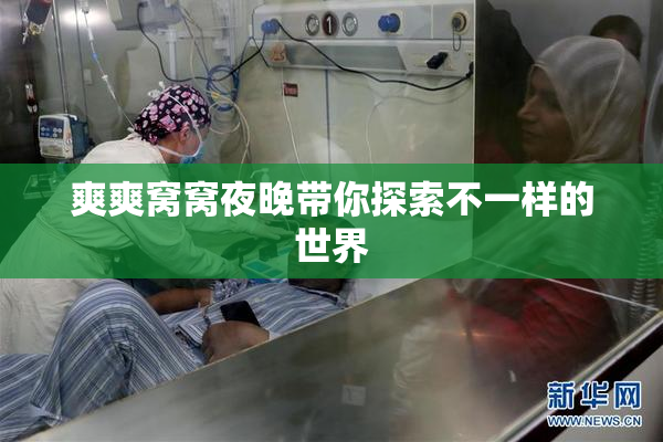 爽爽窝窝夜晚带你探索不一样的世界