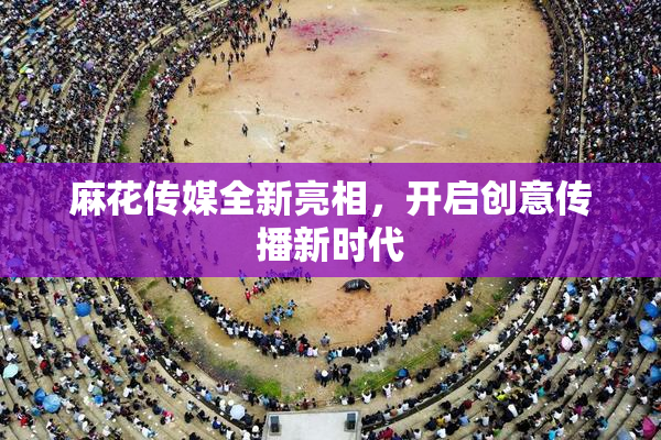 麻花传媒全新亮相，开启创意传播新时代