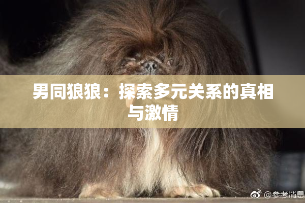 男同狼狼：探索多元关系的真相与激情