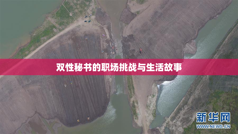 双性秘书的职场挑战与生活故事