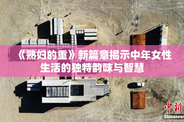 《熟妇的重》新篇章揭示中年女性生活的独特韵味与智慧