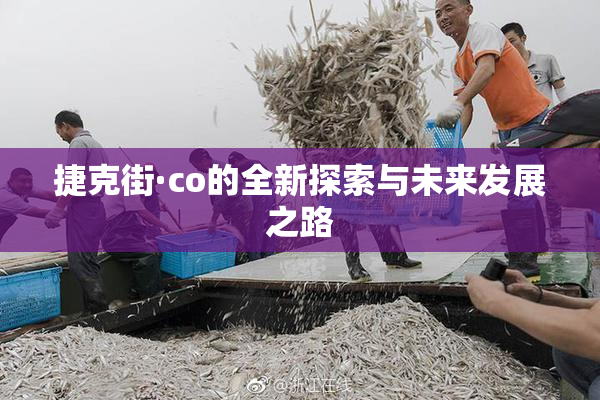捷克街·co的全新探索与未来发展之路