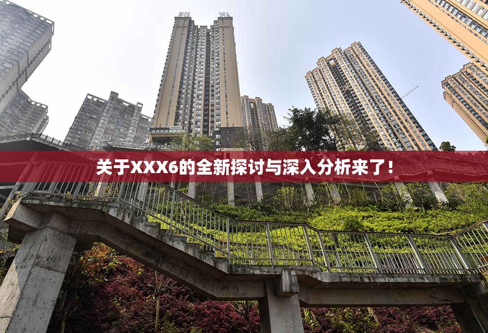 关于XXX6的全新探讨与深入分析来了！