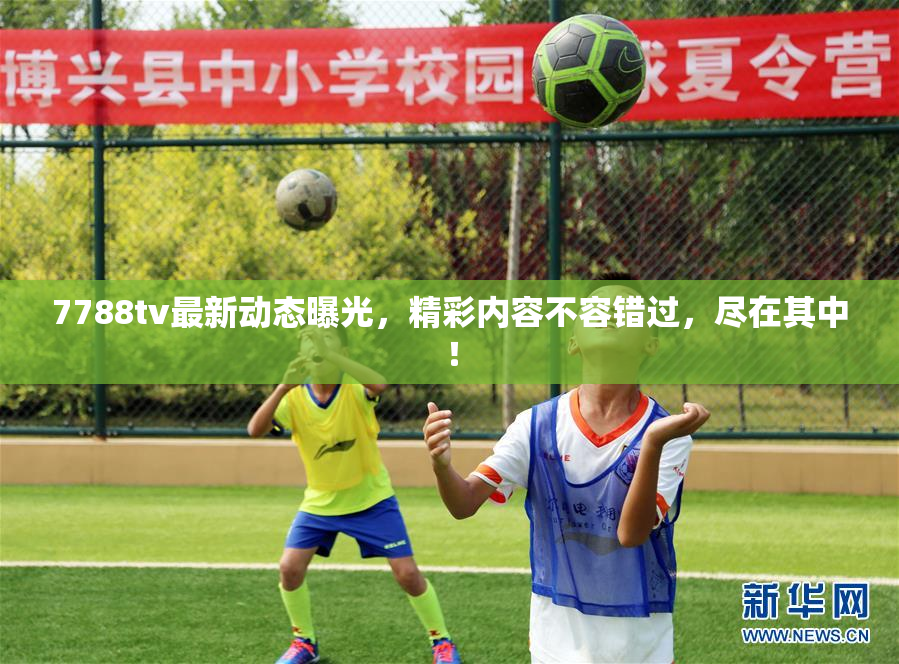 7788tv最新动态曝光，精彩内容不容错过，尽在其中！