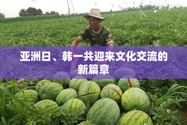 亚洲日、韩一共迎来文化交流的新篇章