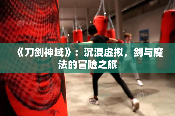《刀剑神域》：沉浸虚拟，剑与魔法的冒险之旅