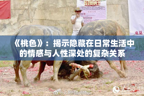 《桃色》：揭示隐藏在日常生活中的情感与人性深处的复杂关系