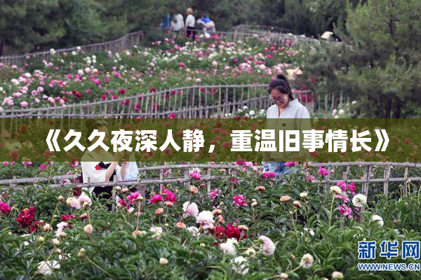 《久久夜深人静，重温旧事情长》