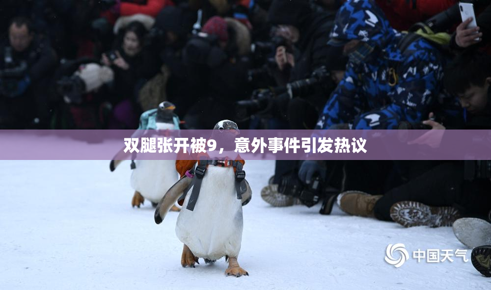 双腿张开被9，意外事件引发热议