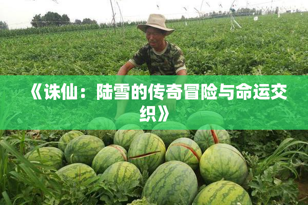《诛仙：陆雪的传奇冒险与命运交织》