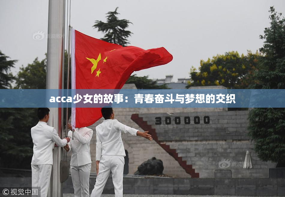 acca少女的故事：青春奋斗与梦想的交织