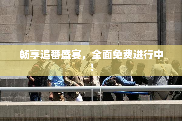 畅享追番盛宴，全面免费进行中！