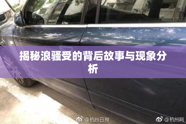 揭秘浪骚受的背后故事与现象分析