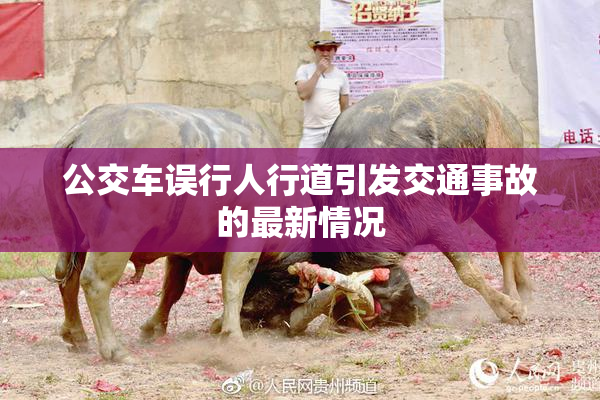 公交车误行人行道引发交通事故的最新情况