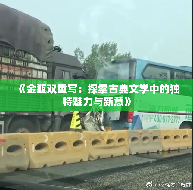 《金瓶双重写：探索古典文学中的独特魅力与新意》
