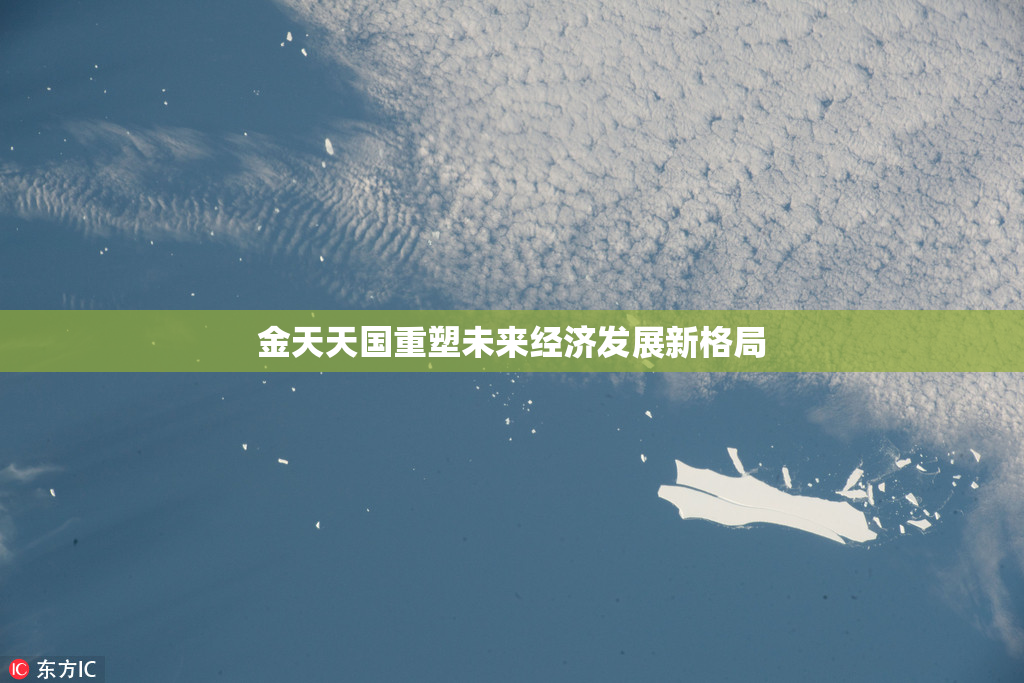 金天天国重塑未来经济发展新格局