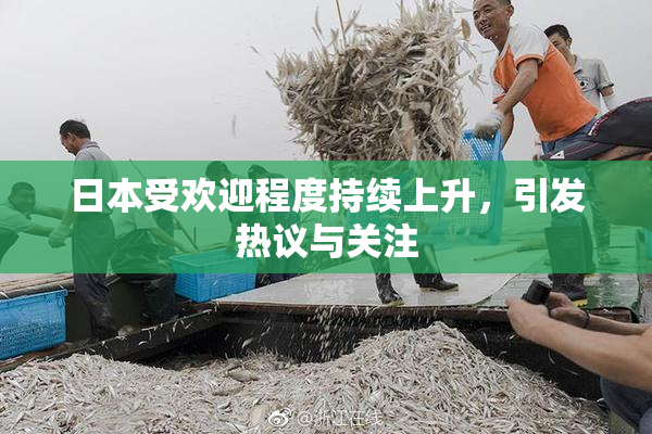 日本受欢迎程度持续上升，引发热议与关注