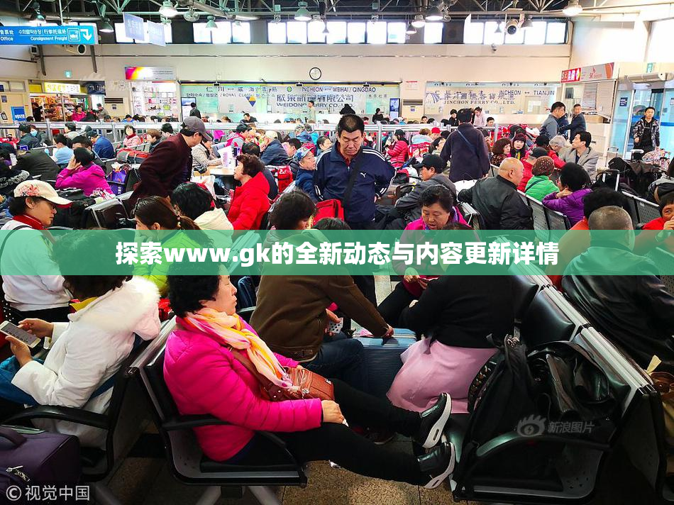 探索www.gk的全新动态与内容更新详情