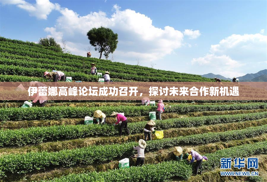 伊蕾娜高峰论坛成功召开，探讨未来合作新机遇