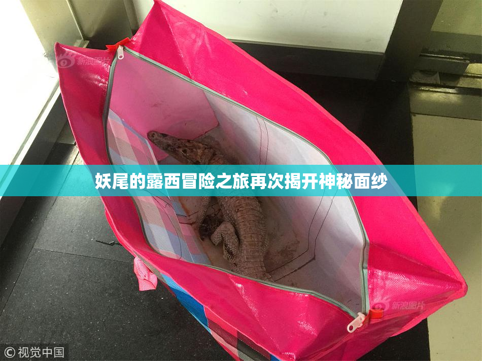 妖尾的露西冒险之旅再次揭开神秘面纱