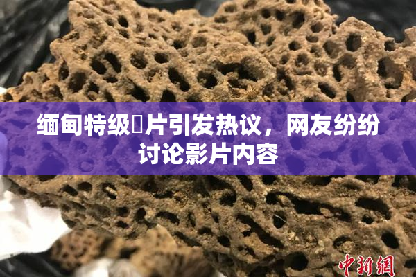 缅甸特级婬片引发热议，网友纷纷讨论影片内容